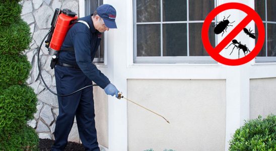 Güney Böcek ve Haşere İlaçlama böcek ilaçlama ve haşere kontrolü — ilaclama-tr.com